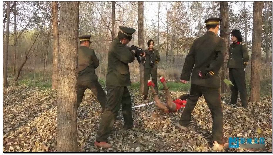 【MJ影视】小毒妇