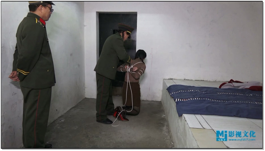 【MJ影视】难忘的经历 