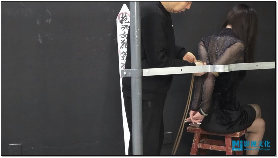 【MJ影视】苏冰倩极度重犯