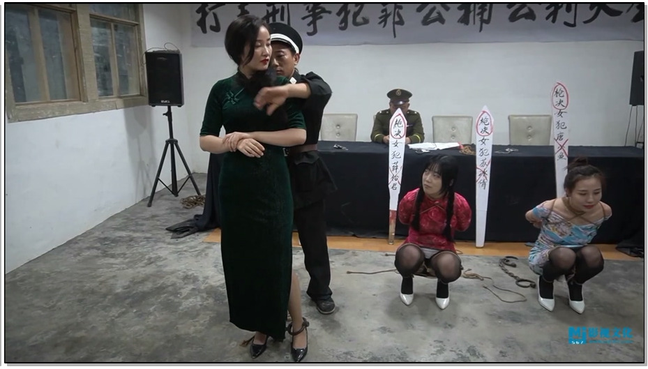 【MJ影视】民国姨太风云