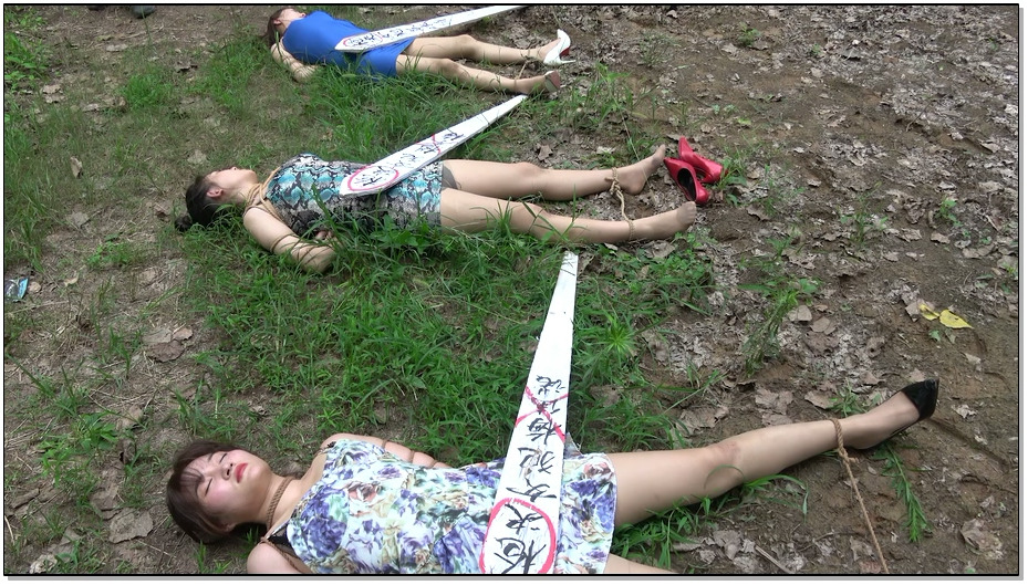 【MJ影视】三腐女赴刑记