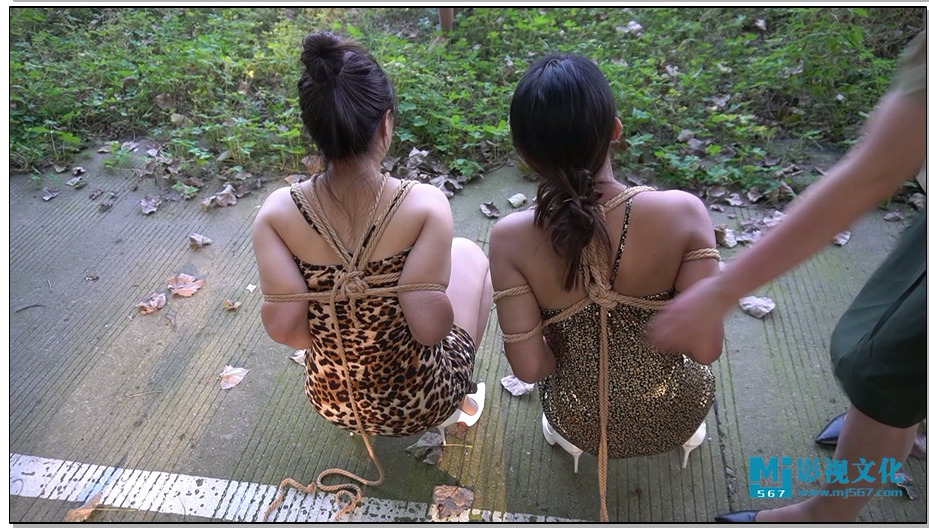 【MJ影视】两个失足女