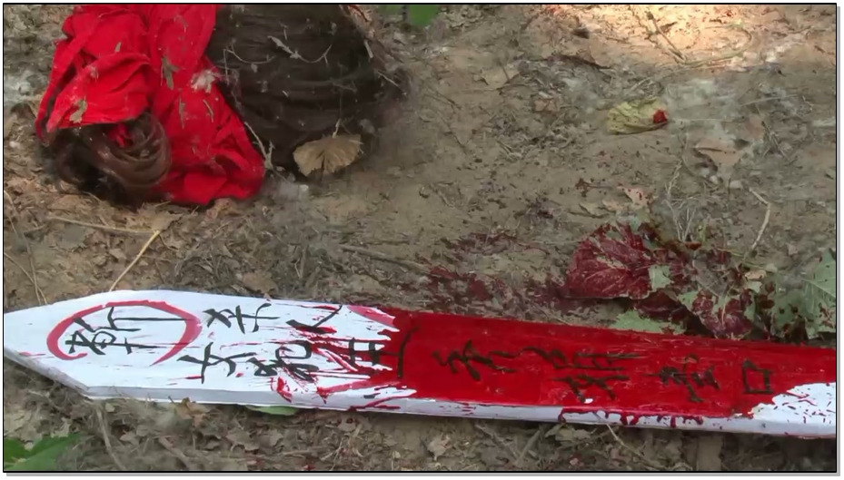 【MJ影视】伏法记 下