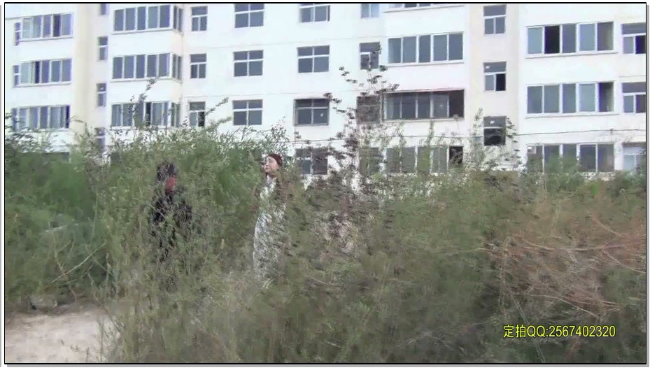 【MJ影视】巾帼白袍女烈（陈沫）