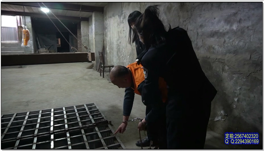 【MJ影视】仙人毒枭 仙人跳毒贩被绳之以法审判宣判苏冰倩杨冬梅梅馨月朱婷婷王蕾强强