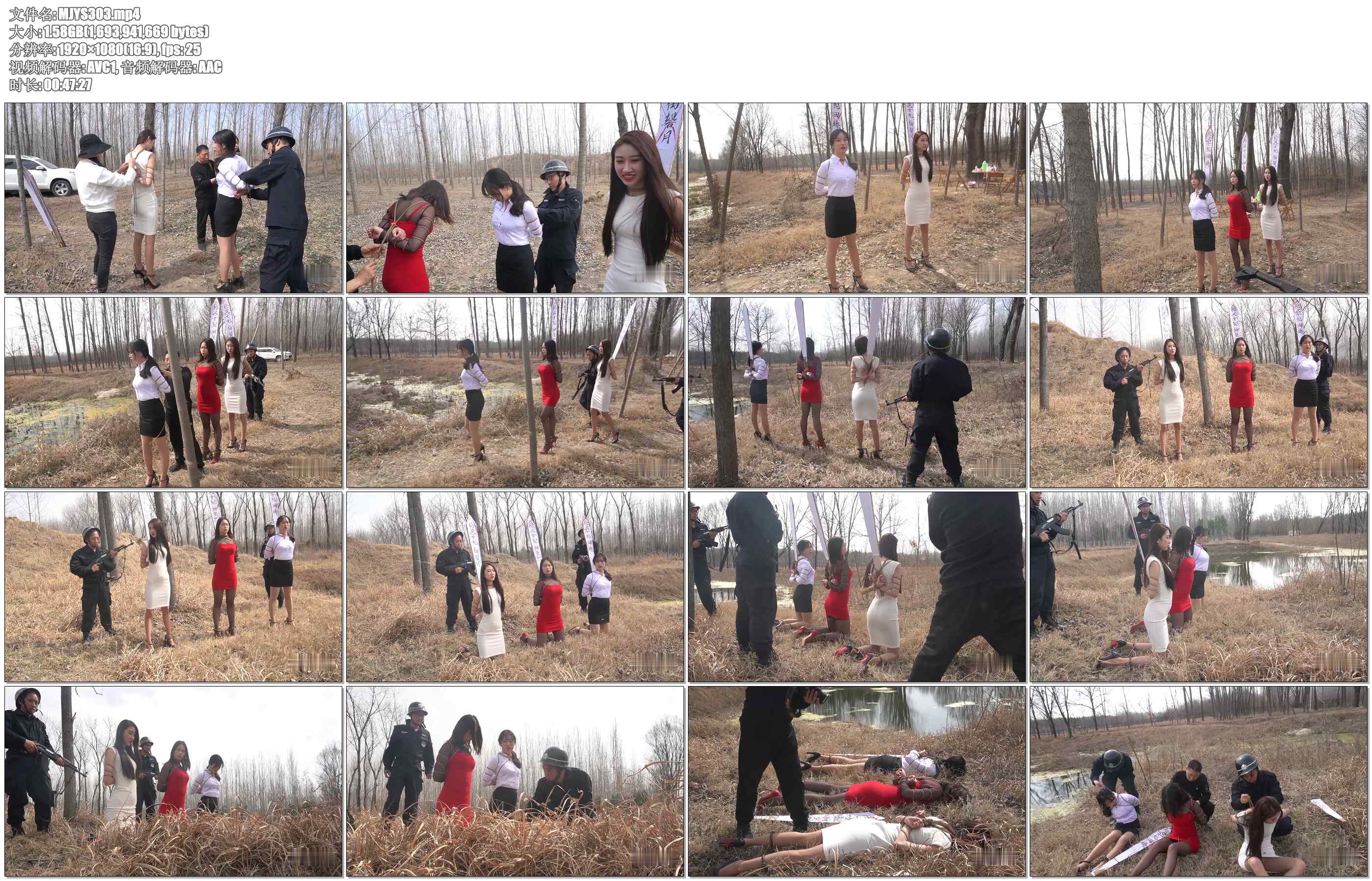 【MJ影视】野外枪声