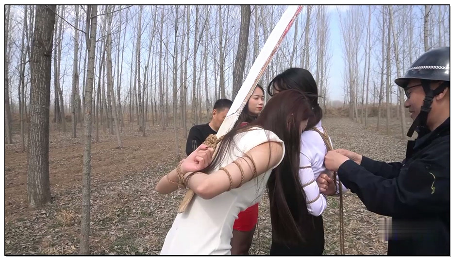 【MJ影视】野外枪声