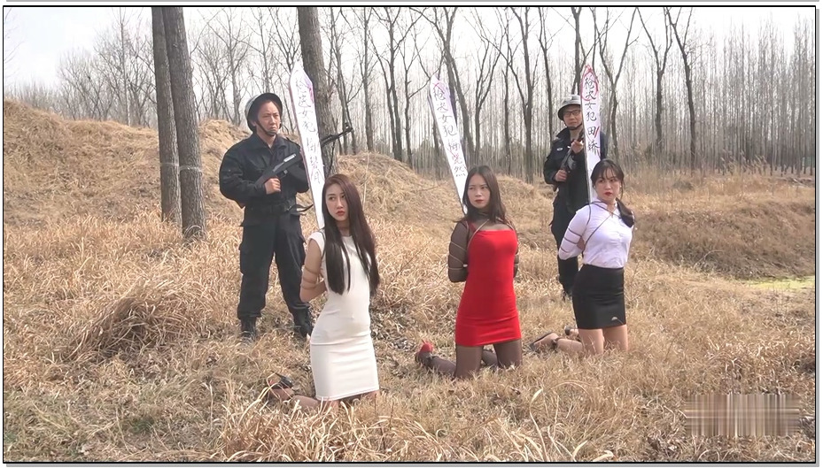 【MJ影视】野外枪声