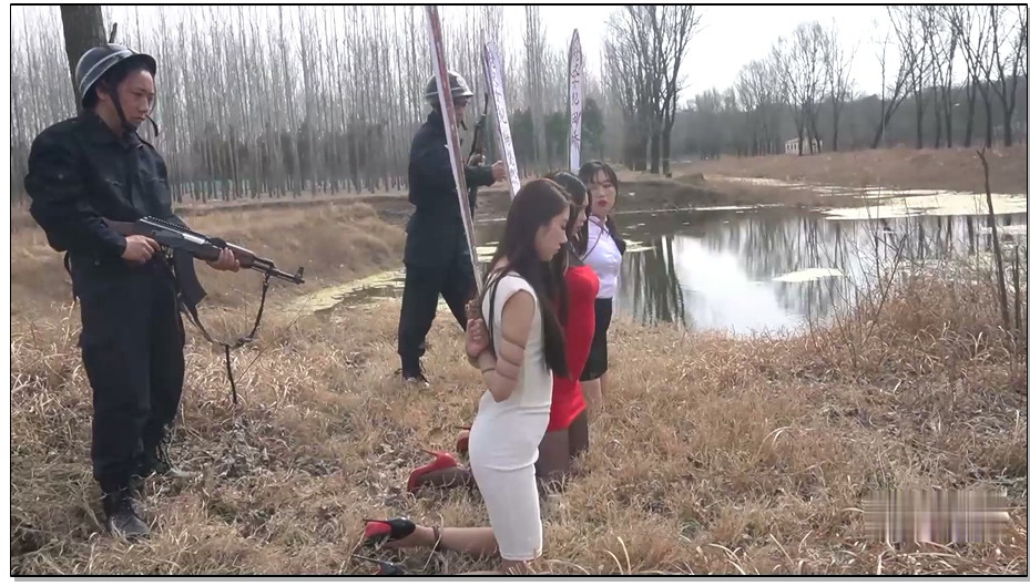 【MJ影视】野外枪声