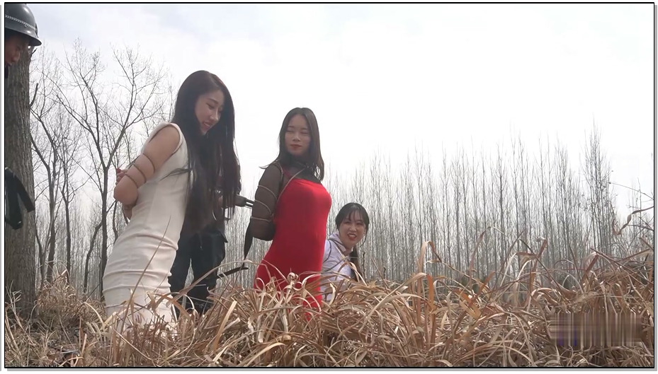 【MJ影视】野外枪声