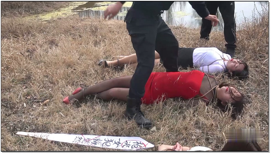 【MJ影视】野外枪声