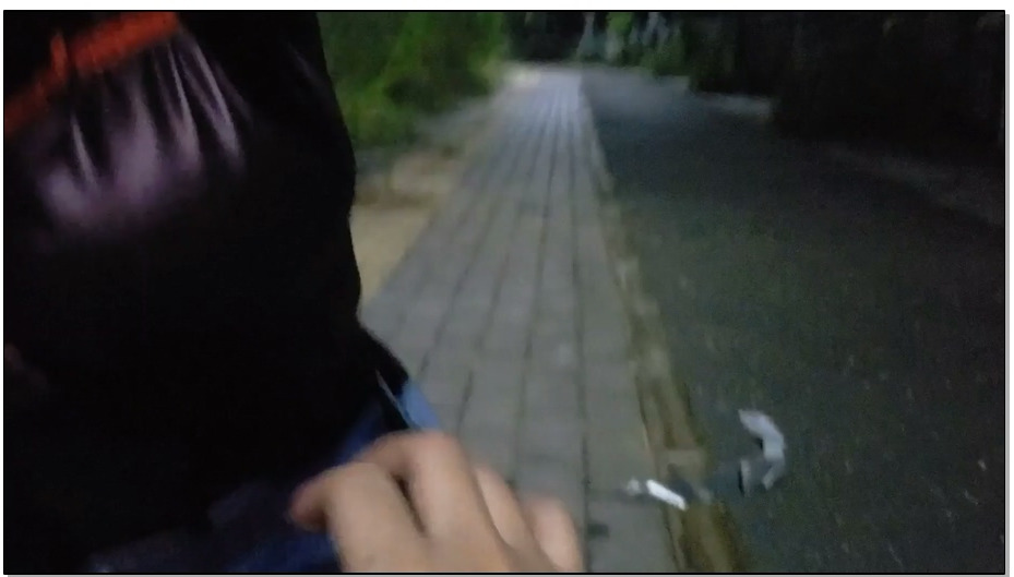 【曼陀罗】带着母 狗晚上去路边嗨 充气双塞午夜行