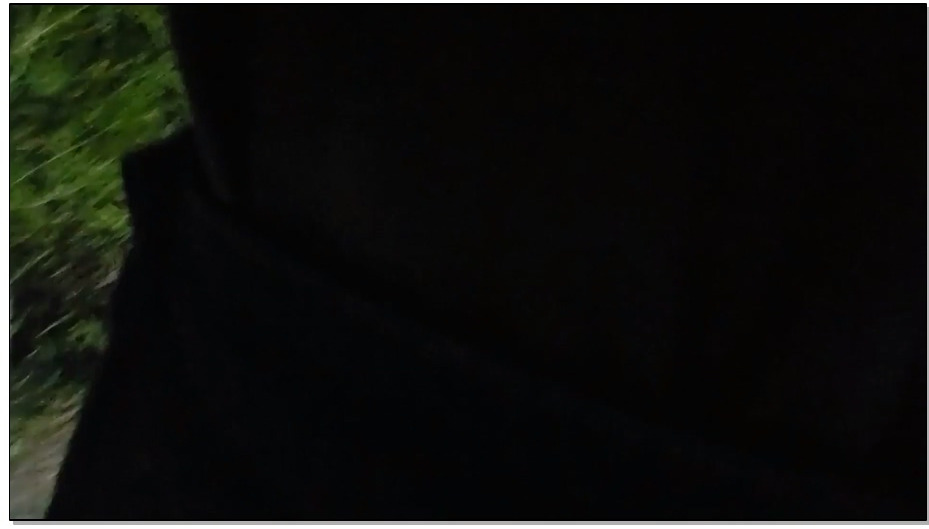 【曼陀罗】带着母 狗晚上去路边嗨 充气双塞午夜行