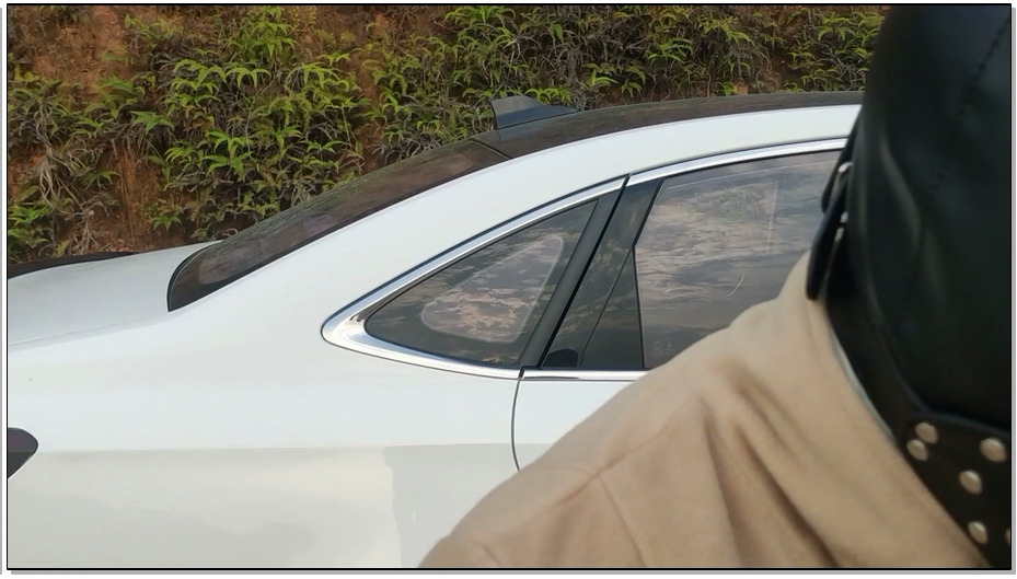 【曼陀罗】母 狗的日常训练 舌头的灵活训练，室外爬行训练，扩张训练！