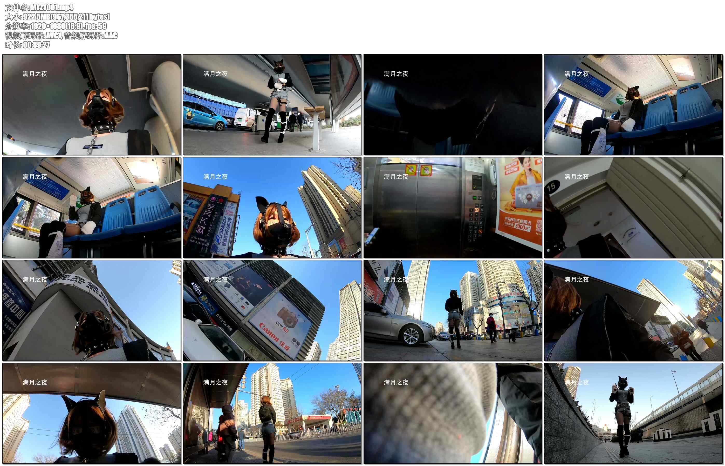 【满月之夜】户外自拍 犬装贞操带电击器