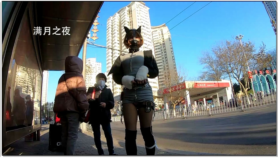 【满月之夜】户外自拍 犬装贞操带电击器