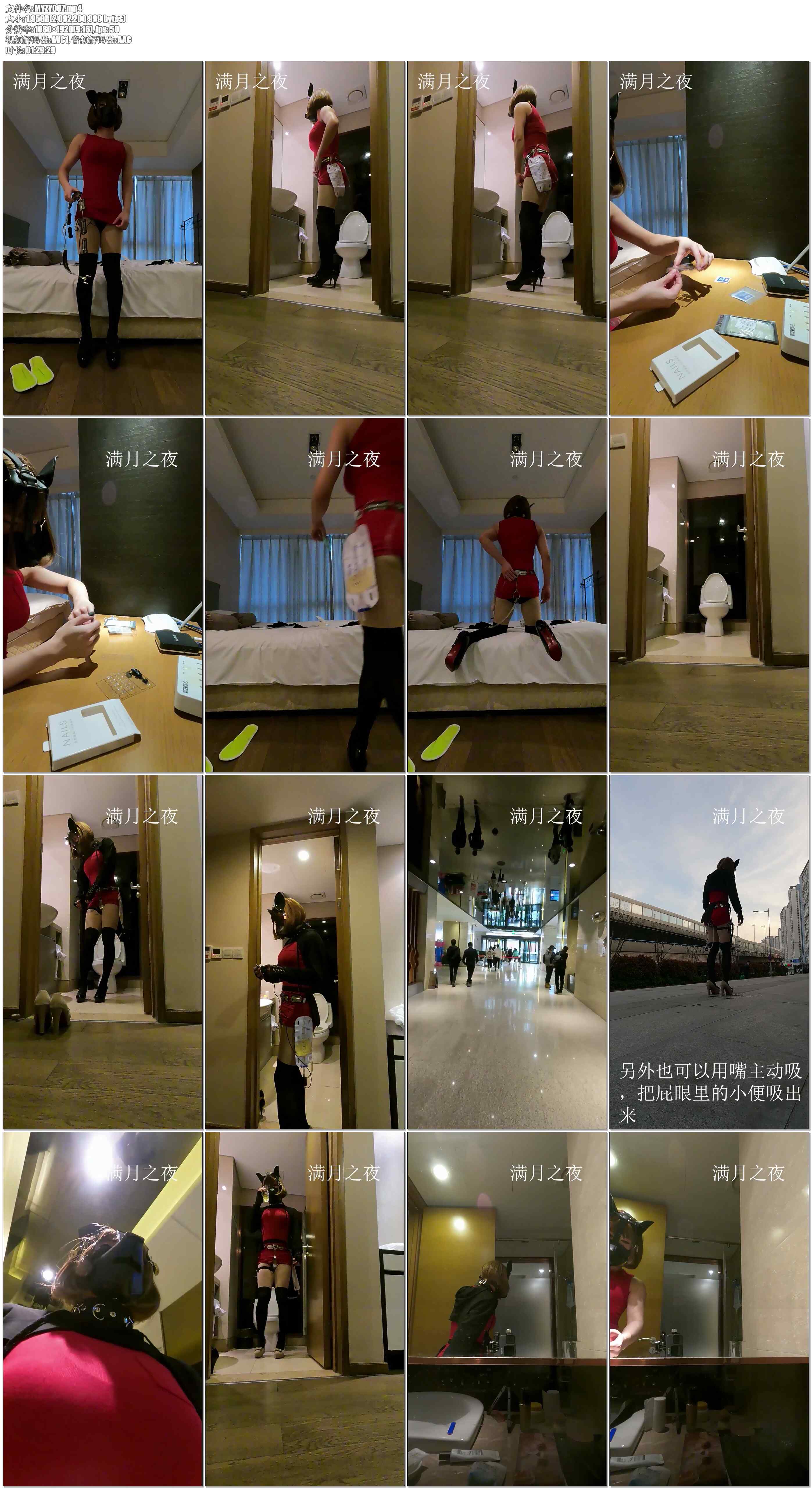 【满月之夜】体液自循环 完成版