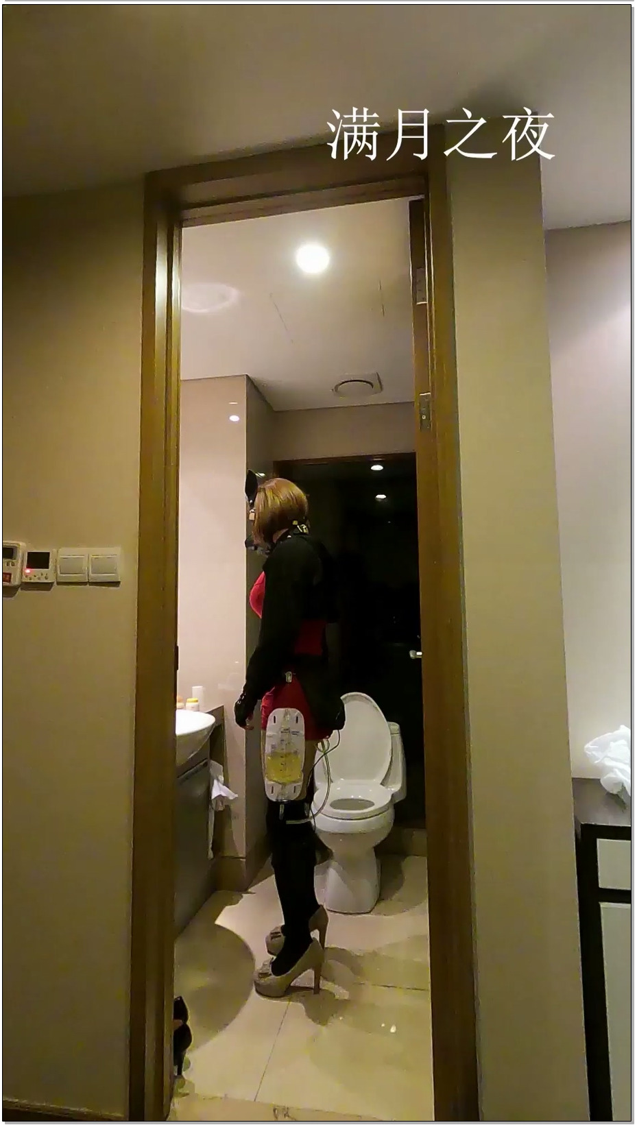 【满月之夜】体液自循环 完成版