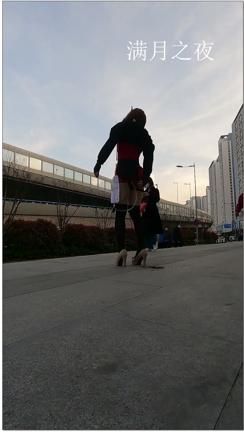 【满月之夜】体液自循环 完成版