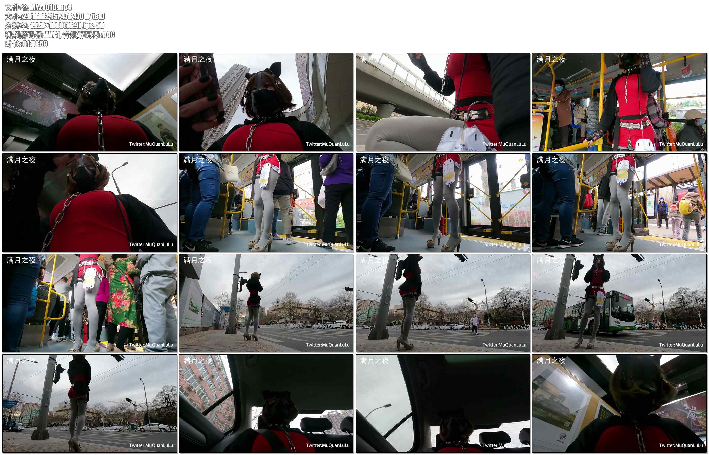 【满月之夜】日常外出