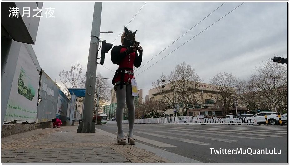 【满月之夜】日常外出