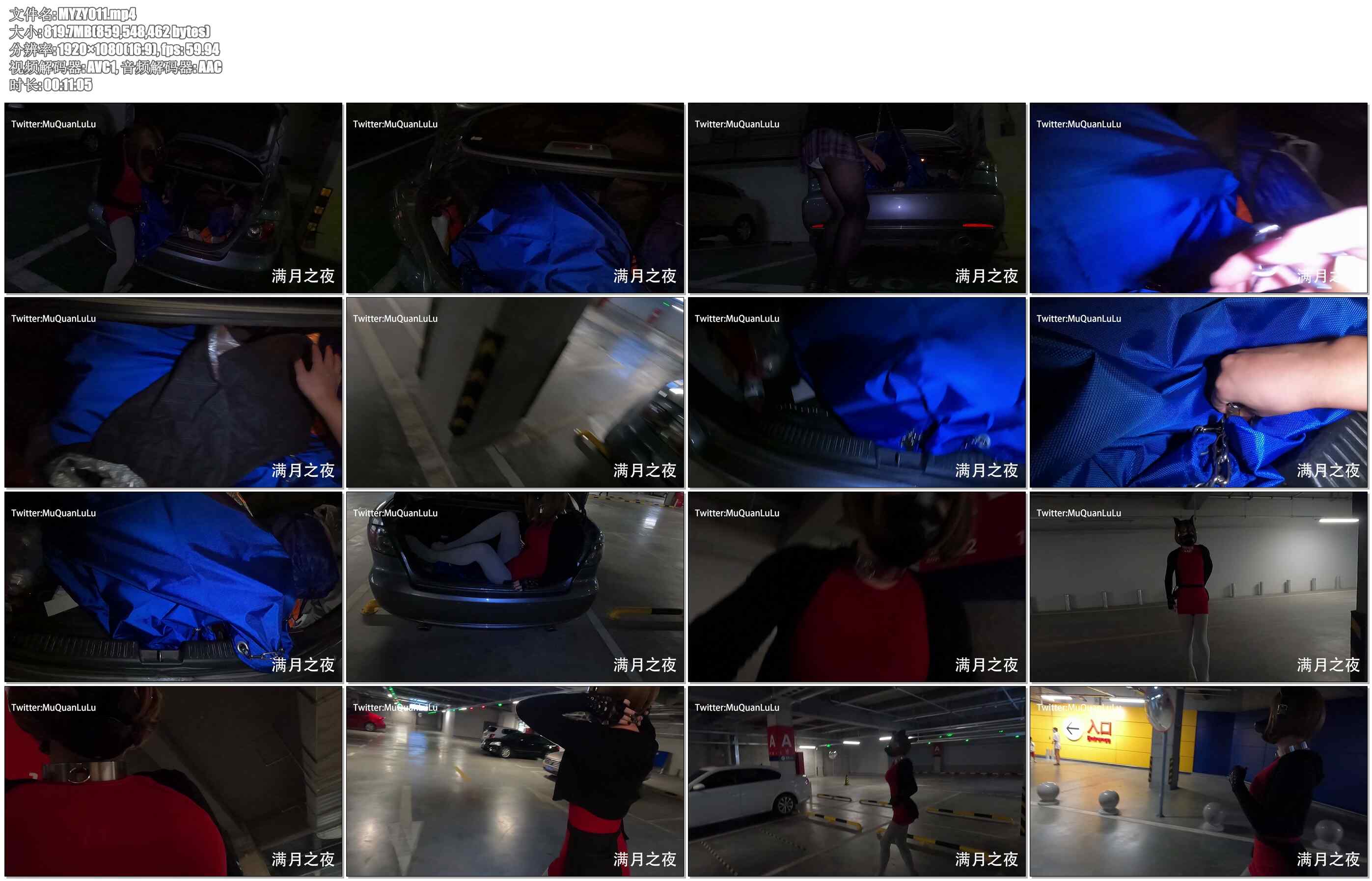 【满月之夜】后备箱运输 