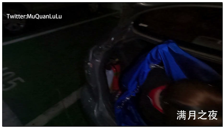 【满月之夜】后备箱运输 