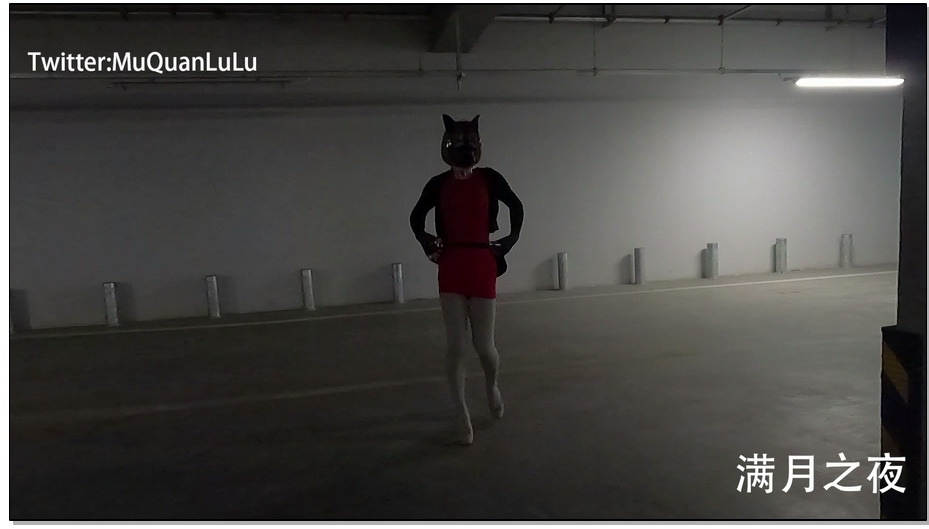 【满月之夜】后备箱运输 