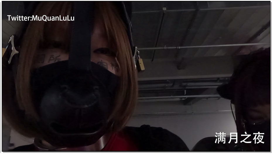 【满月之夜】后备箱运输 