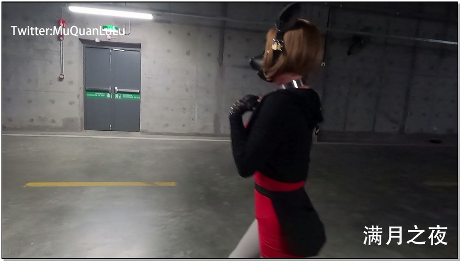 【满月之夜】后备箱运输 