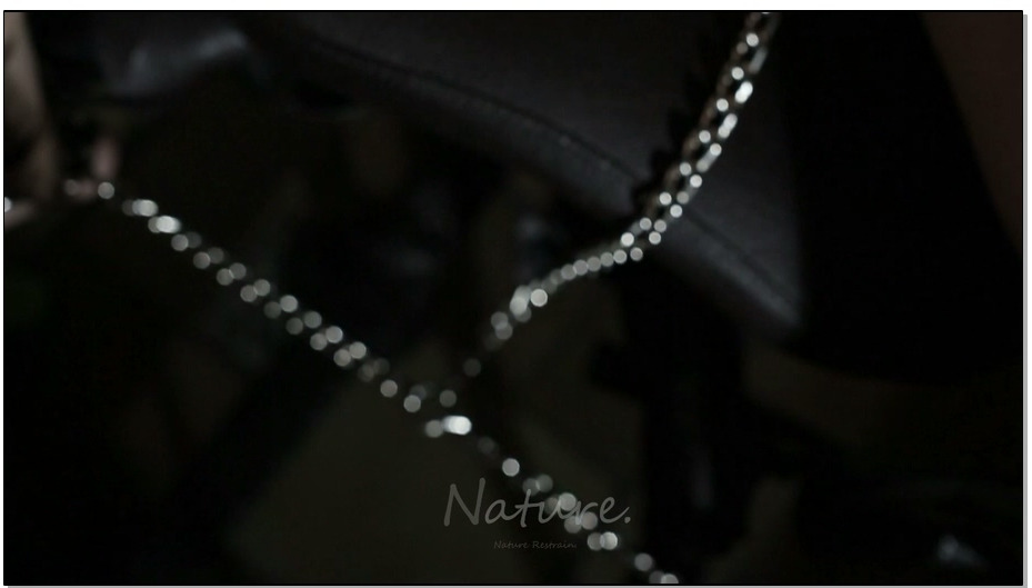 【nature】art 暗室培欲