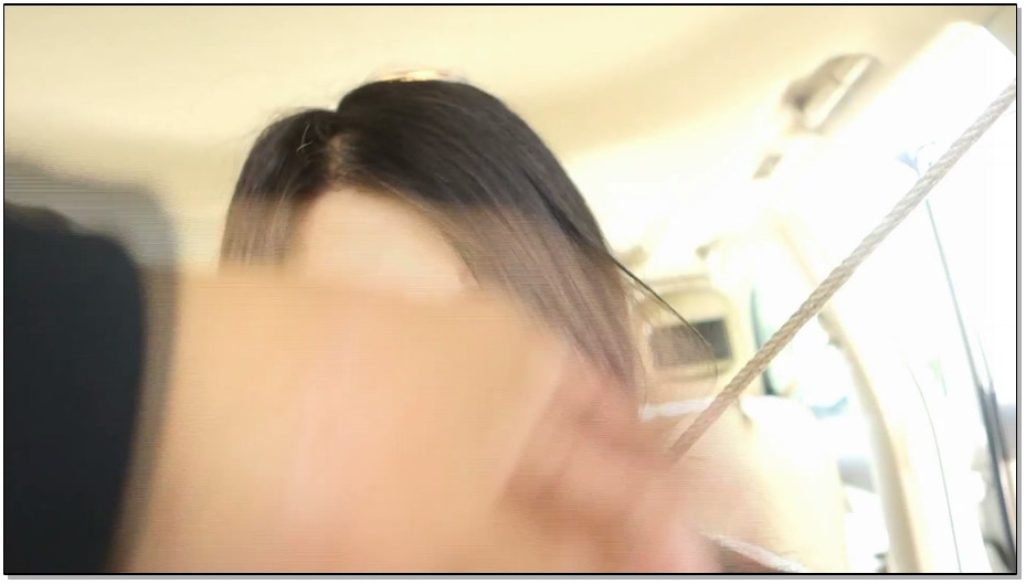 【倾颜阁】家暴之车虐