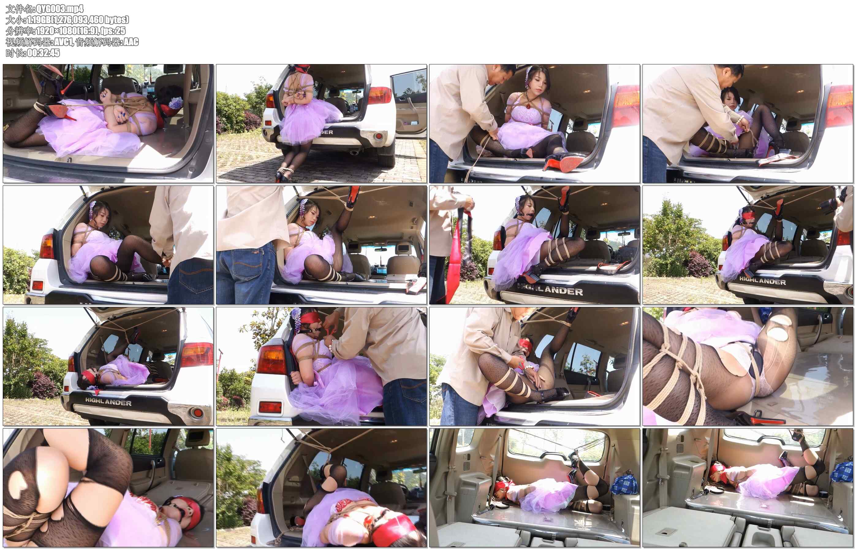 【倾颜阁】家暴之车虐2