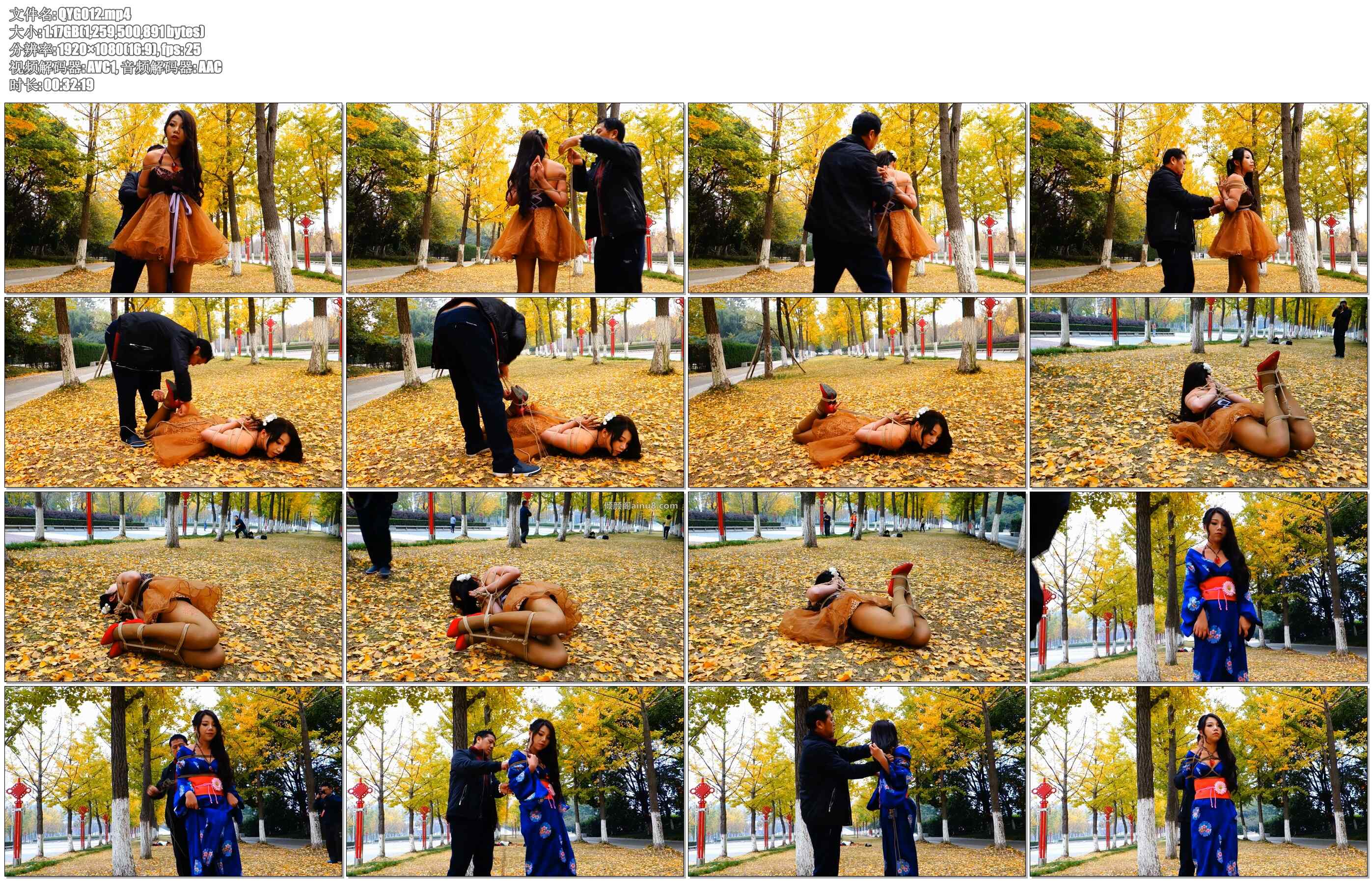 【倾颜阁】铺满落叶的路边捆绑四马