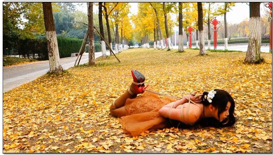 【倾颜阁】铺满落叶的路边捆绑四马