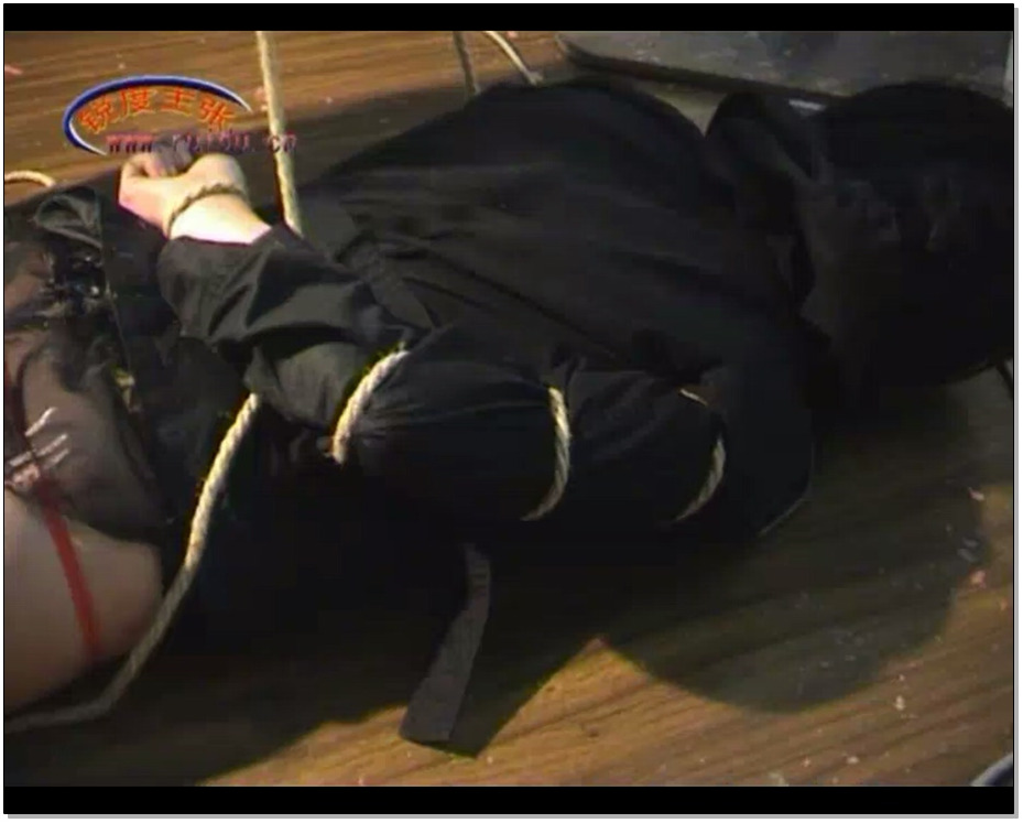 【锐度主张】爱慕之巢 蓉儿