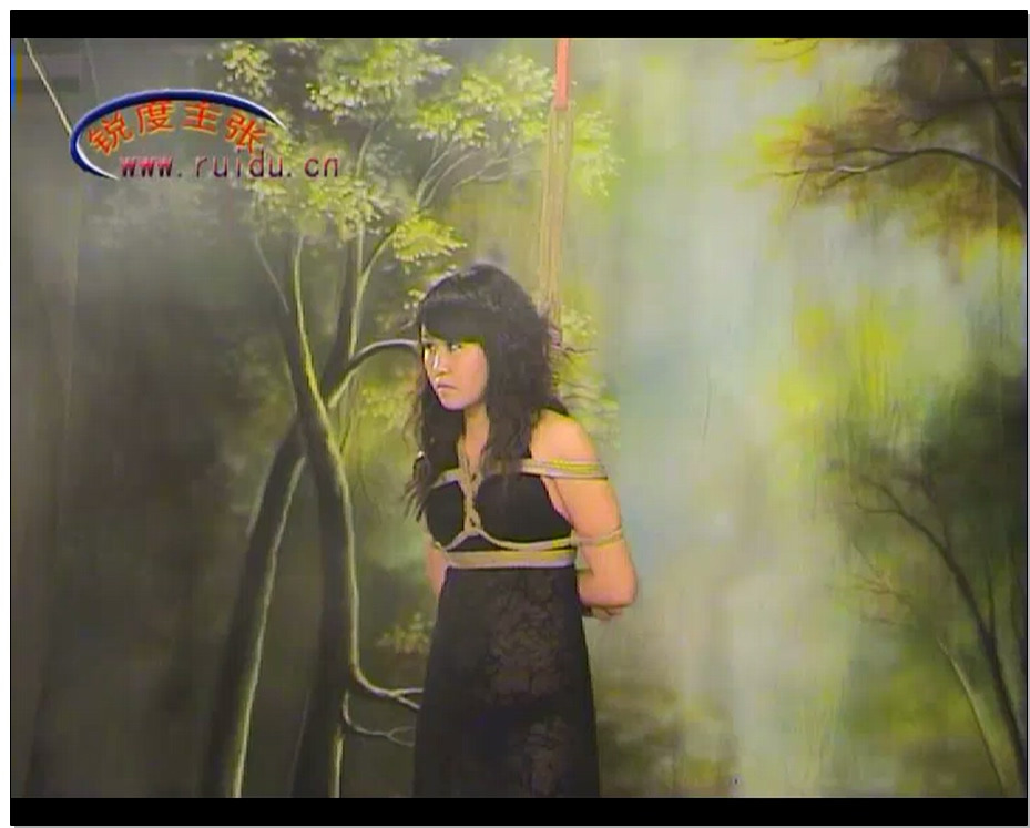 【锐度主张】林中鸟