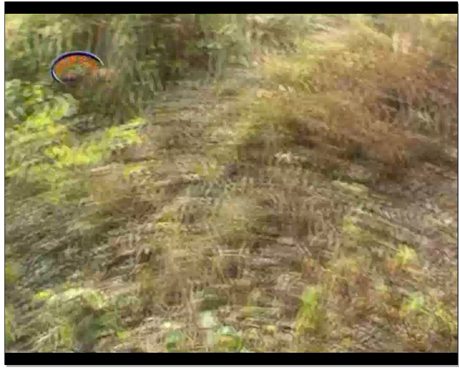 【锐度主张】山野匪患上 洋洋 寒雪