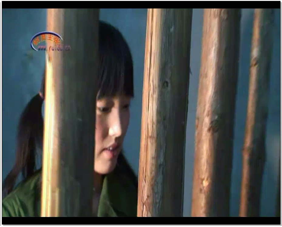 【锐度主张】难忘的记忆 上