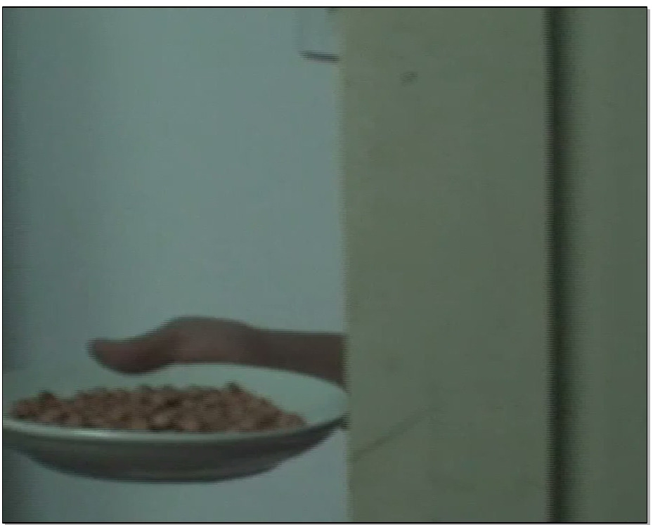 【锐度主张】sm游戏餐厅 下