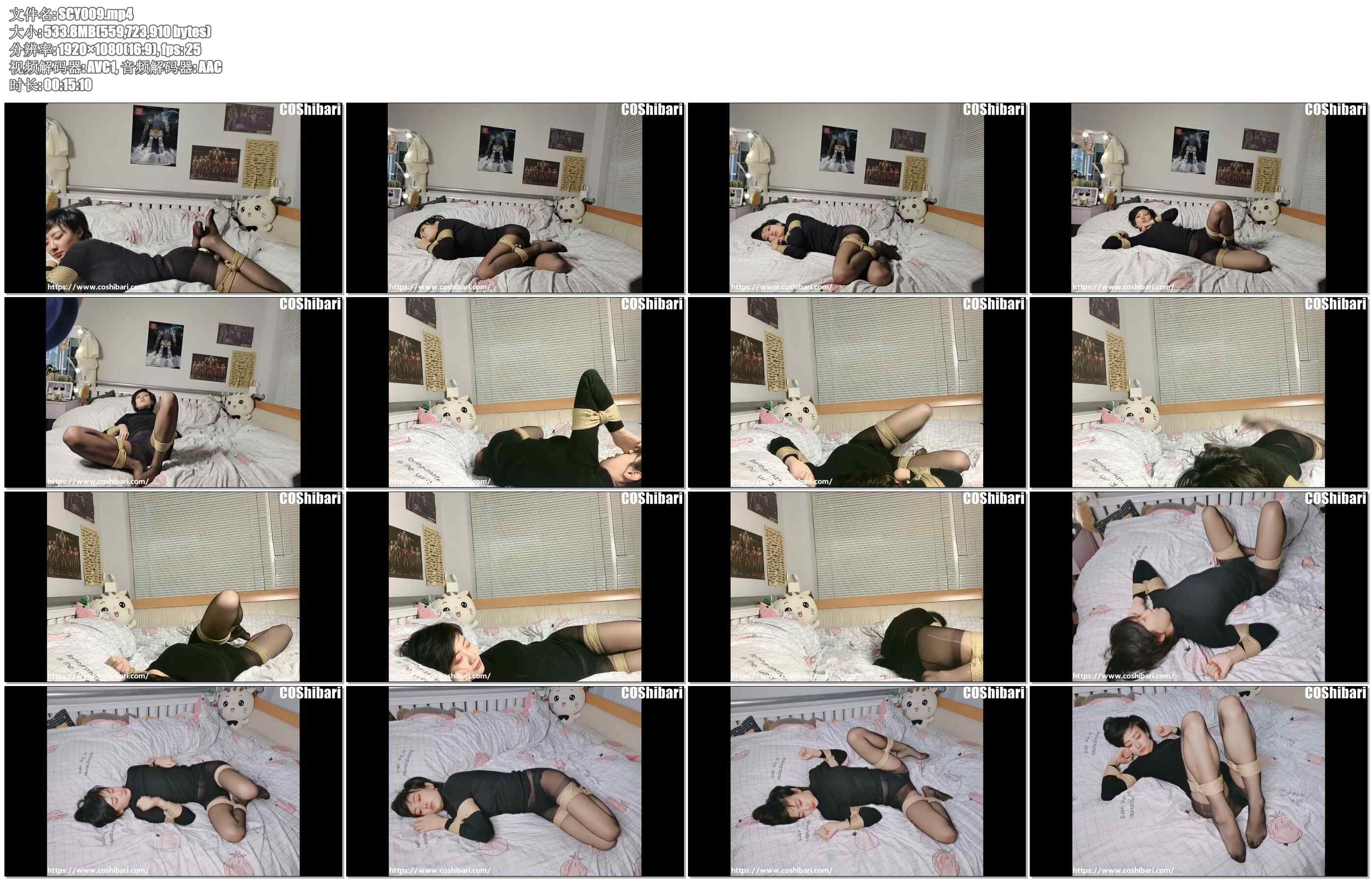 【绳次元】黑丝K9