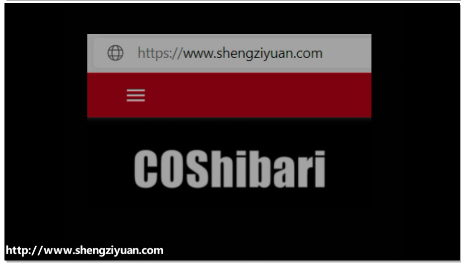 【绳次元】女王变形记 