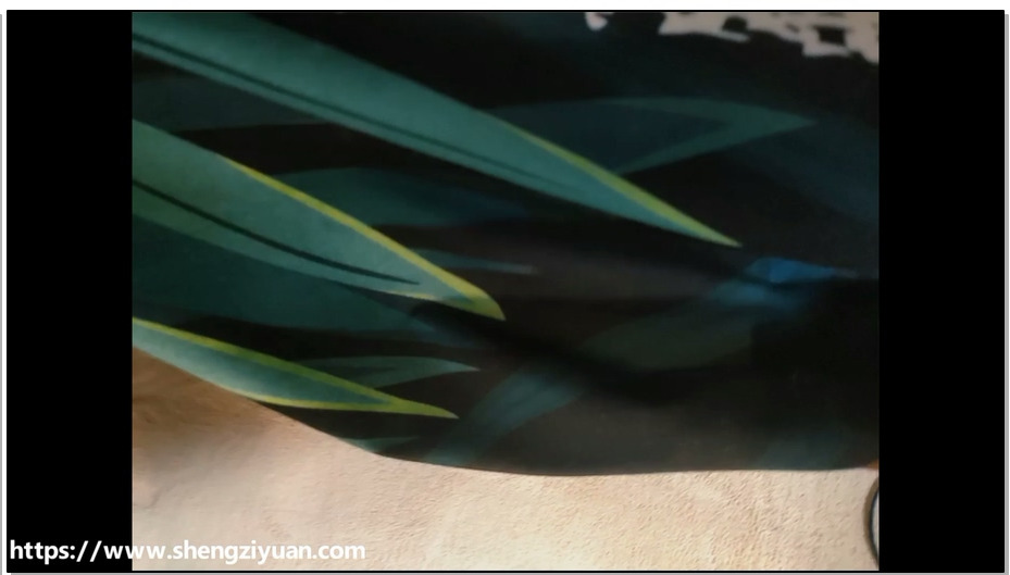 【绳次元】入室搞点钱，顺便劫个色