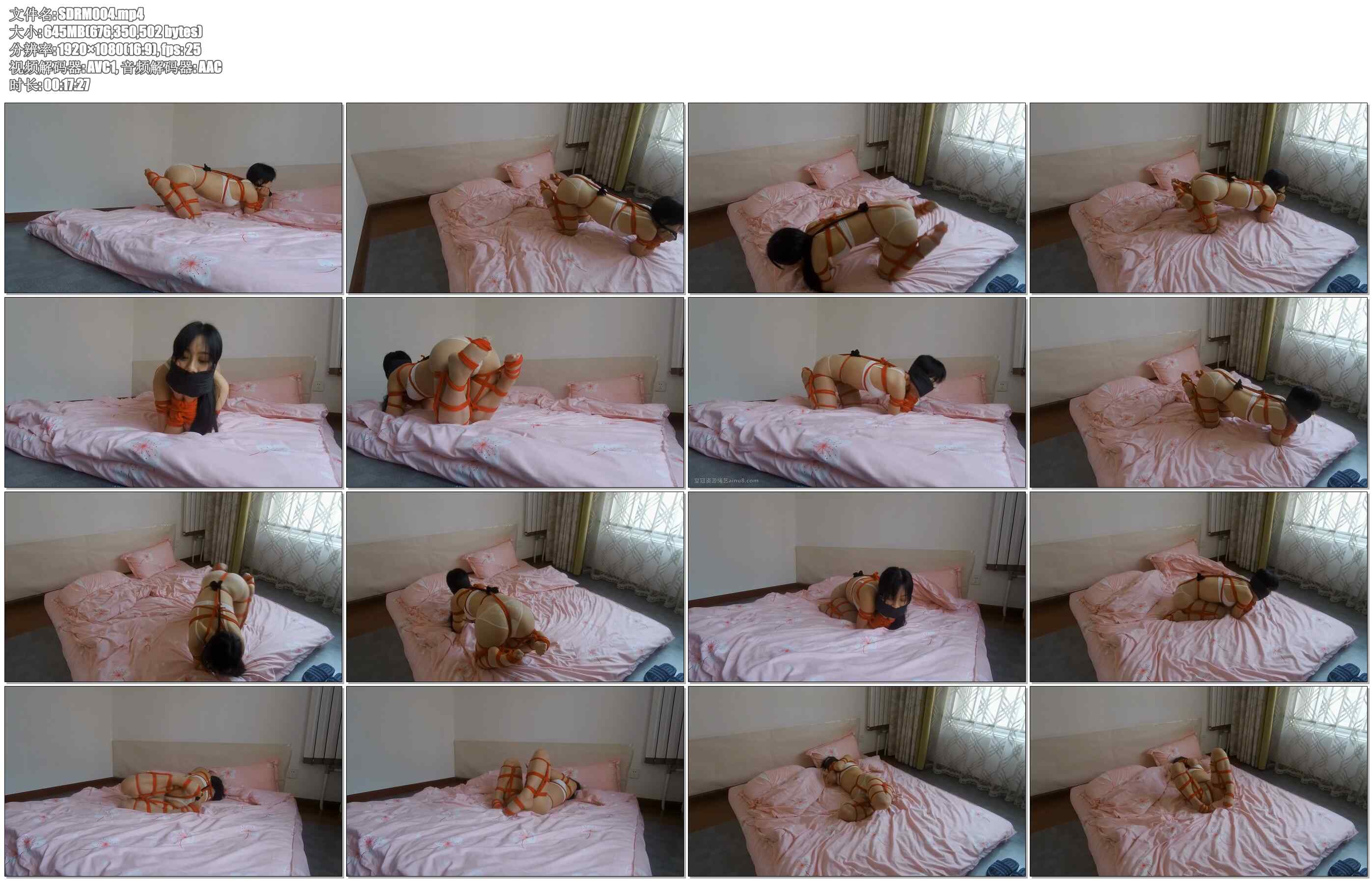 【嗜堵如命】嗜堵人形犬