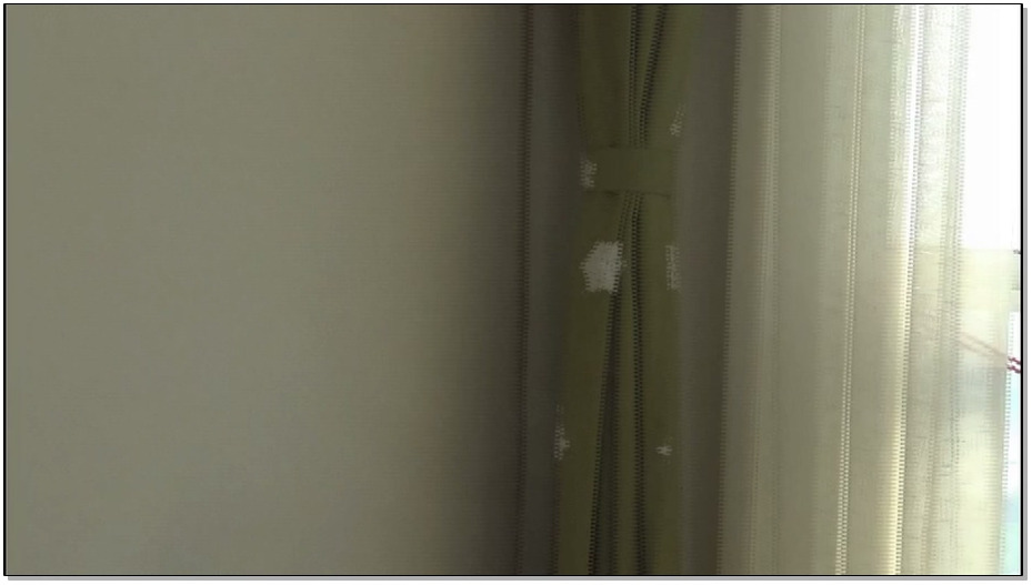 【山东原创】外甥TJ阿姨系列第二部，以访谈的形式剖析内心真实世界