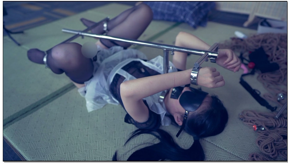 【绳精病】女仆日常之二