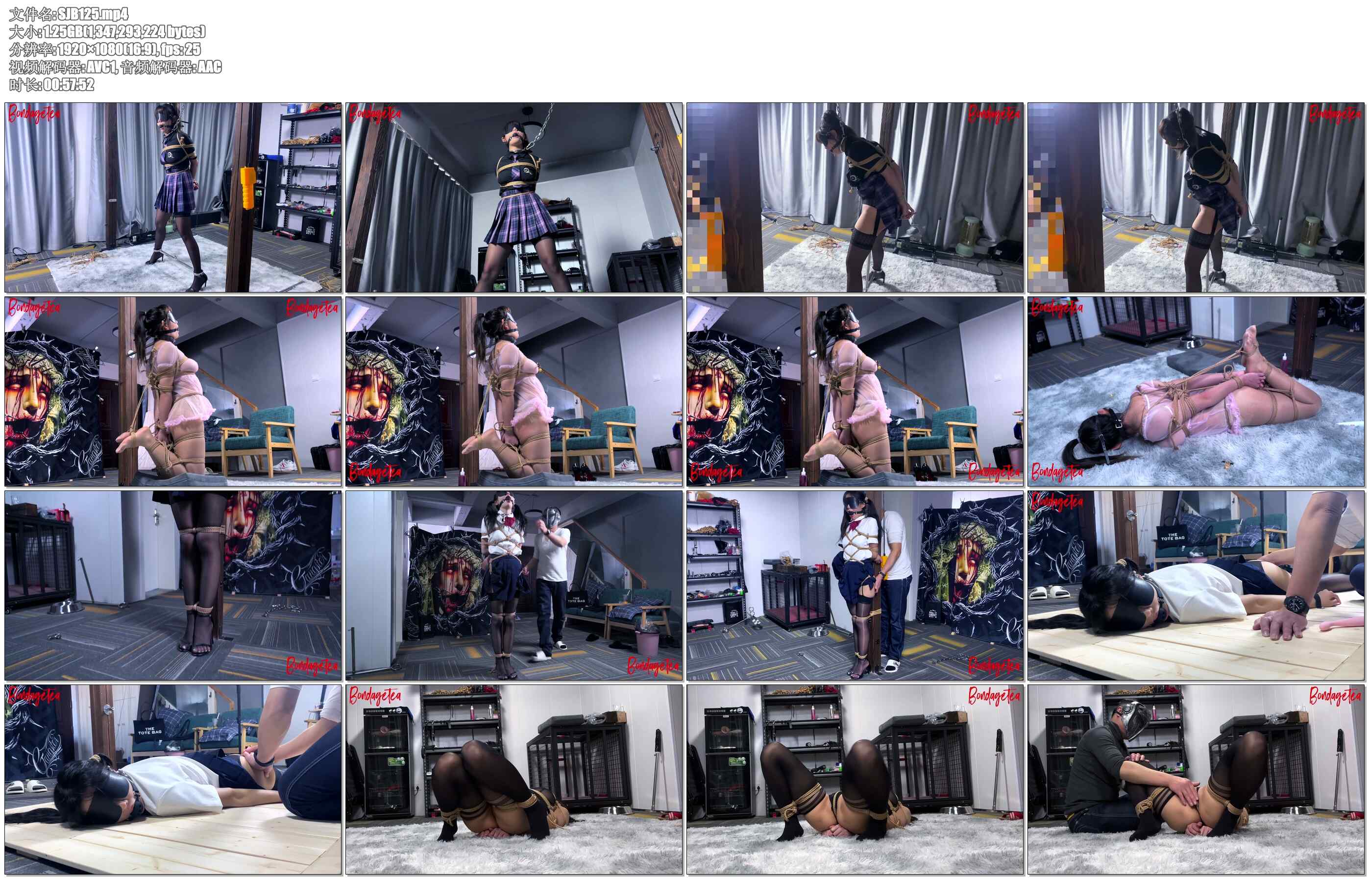 【绳精病】综合约束集锦之一