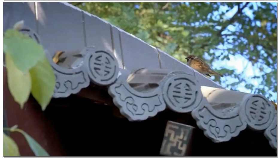 【胜景山庄】侠女悲歌