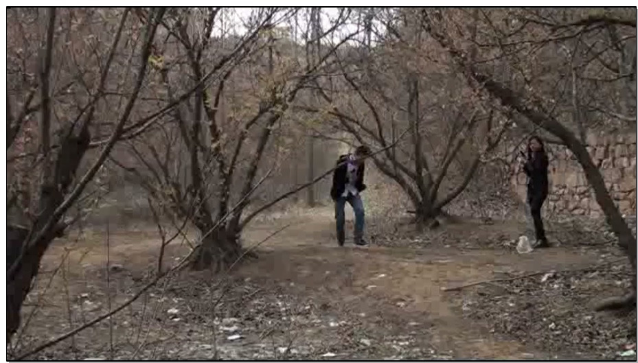 【胜景山庄】春之殇