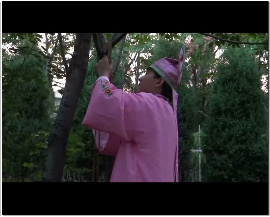 【胜景山庄】侠女恨